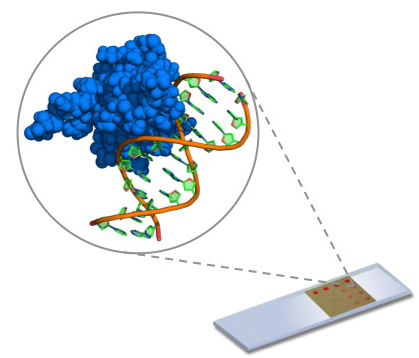 evaluating the sensitivity epigenotyping