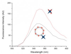 Investigation of dendrimers-2