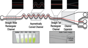 new image 1 for sikes lab